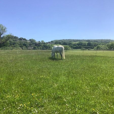 Stable Cottage Winscombe Екстериор снимка