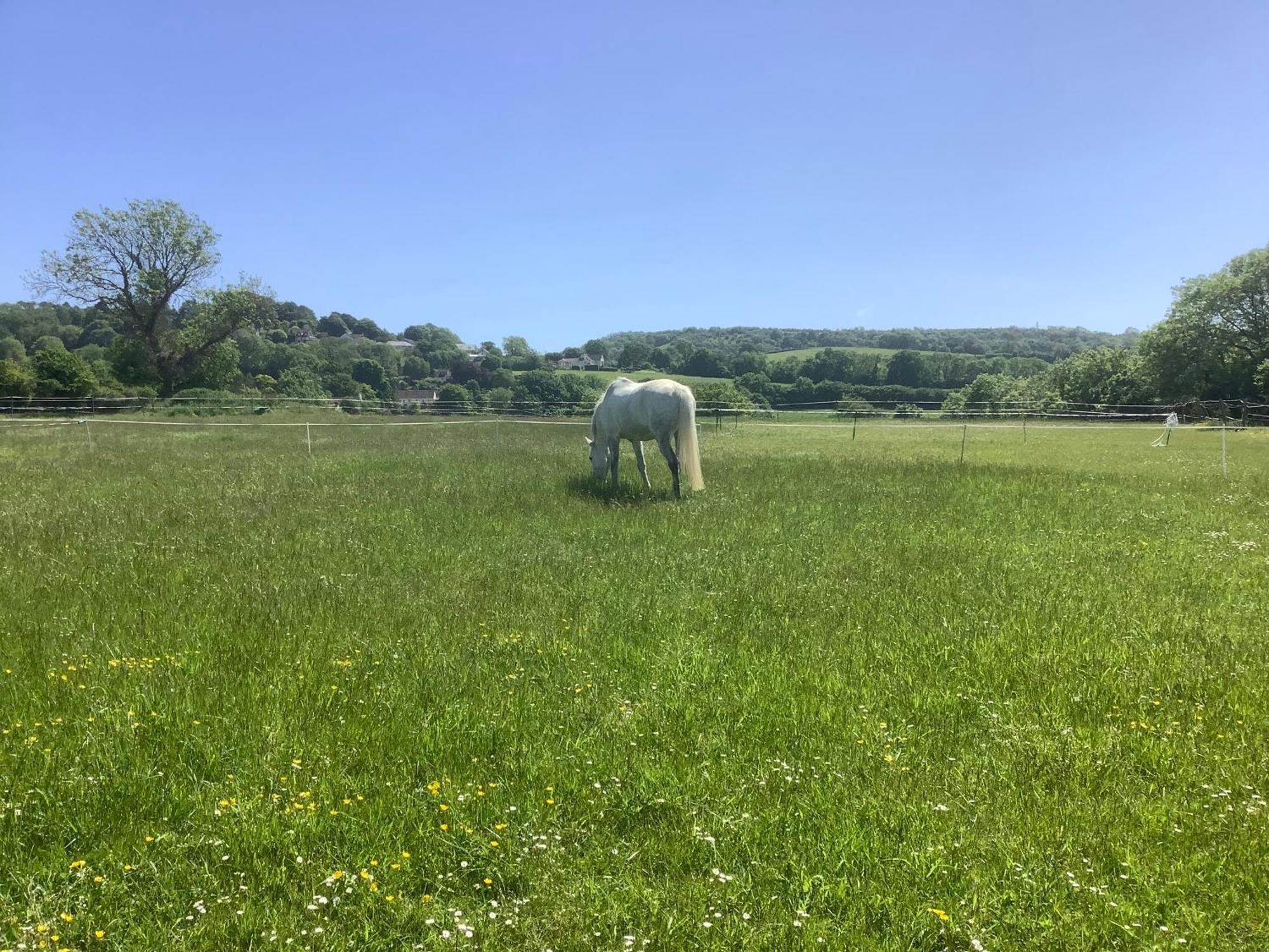 Stable Cottage Winscombe Екстериор снимка