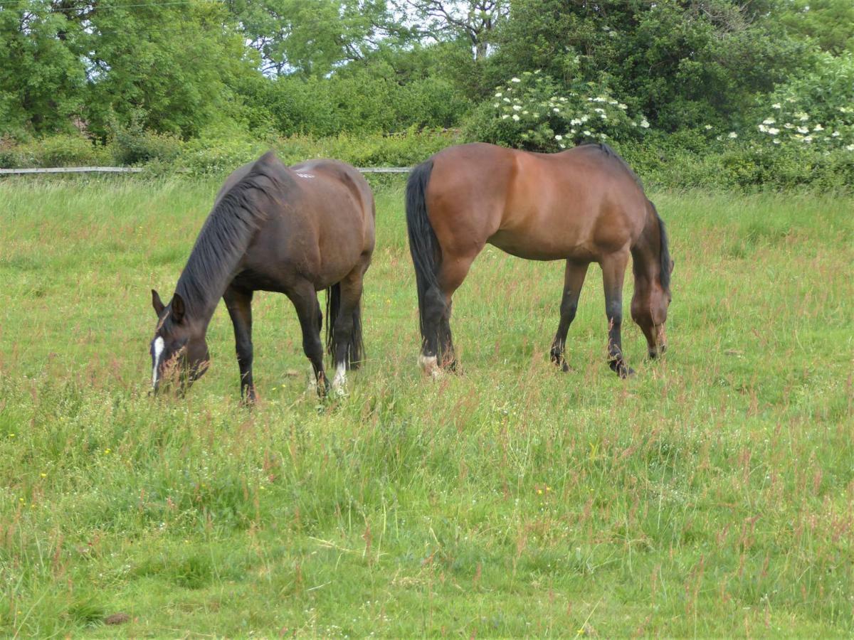 Stable Cottage Winscombe Екстериор снимка